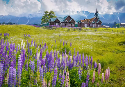 Pahalgam Gulmarg Srinagar Tour