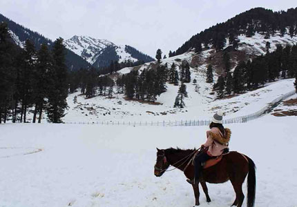 Pahalgam Pony Rides