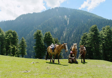 Pahalgam Pony Rides