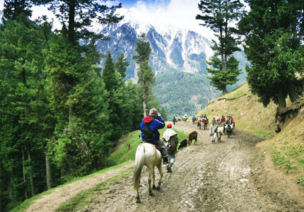 Pahalgam Pony Rides