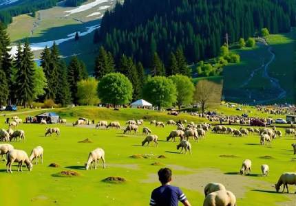 Splendour of Kashmir
