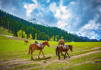 Sonmarg Pony Rides