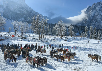 Sonmarg Pony Rides