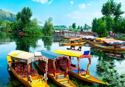 Enjoy in Kashmir