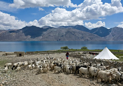 Manali Leh Nubra Pangong Leh Tour