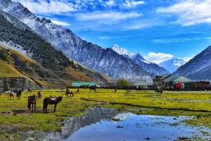 Kashmir Tour