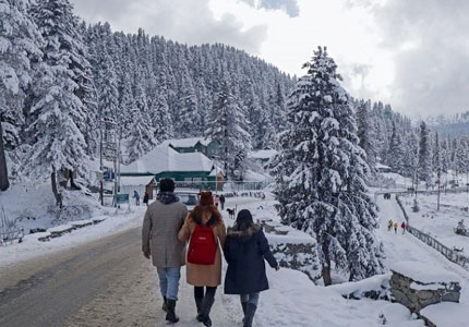 Spectacular View Tour