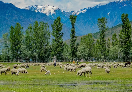 Himachal with Kashmir