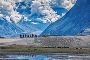 Leh Nubra Tour