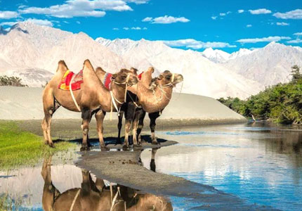 Leh Nubra Pangong Tso Moriri Leh Tour