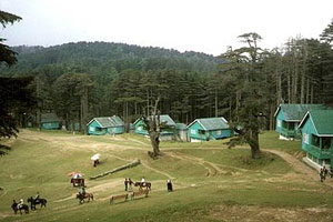 patnitop tent