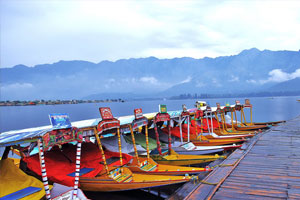 shikara dal lake