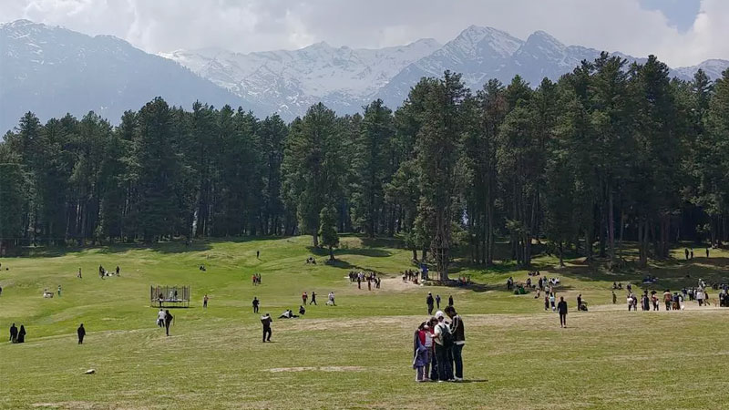 Kashmir Travel Taxi | Srinagar Car Rental – Travel Xplorer